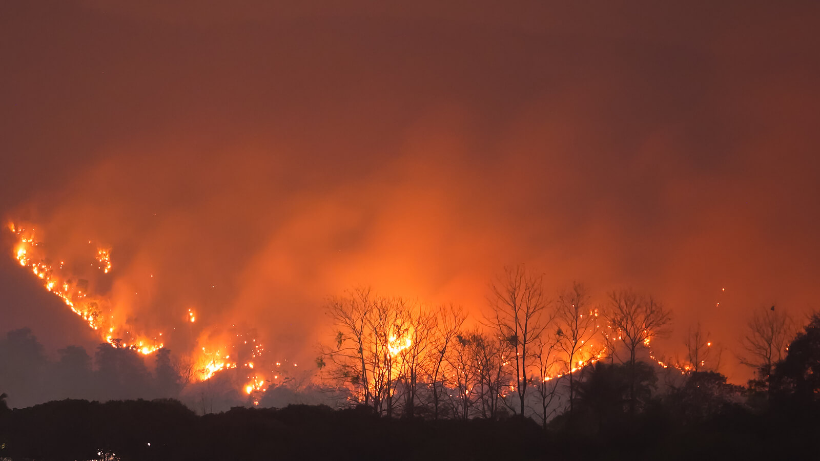 CA Wildfires Mental Health