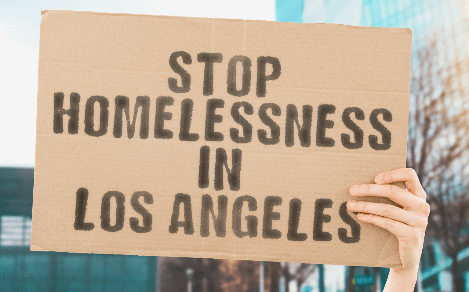 Mission Harrbor Los Angeles Homelessness