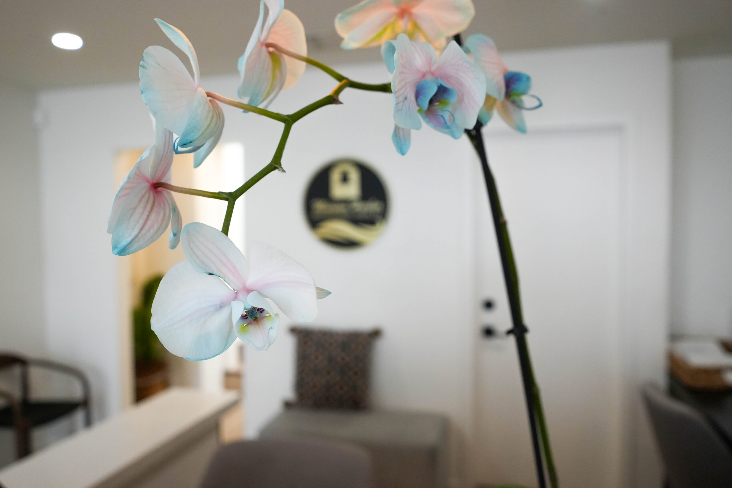 Photo 32 associated with Mission Harbor Behavioral Health — Los Angeles