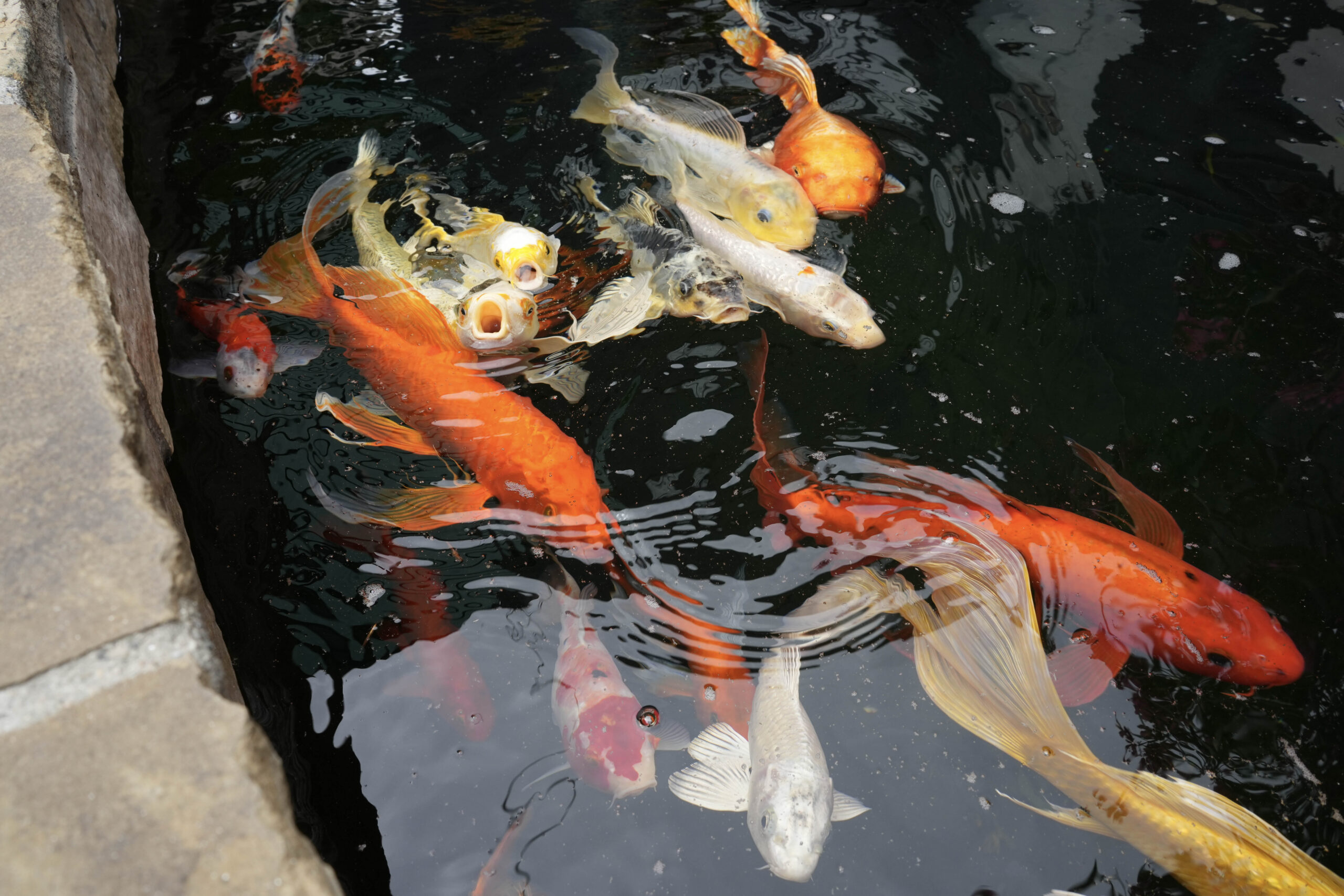 Photo 24 associated with Mission Harbor Behavioral Health — Los Angeles