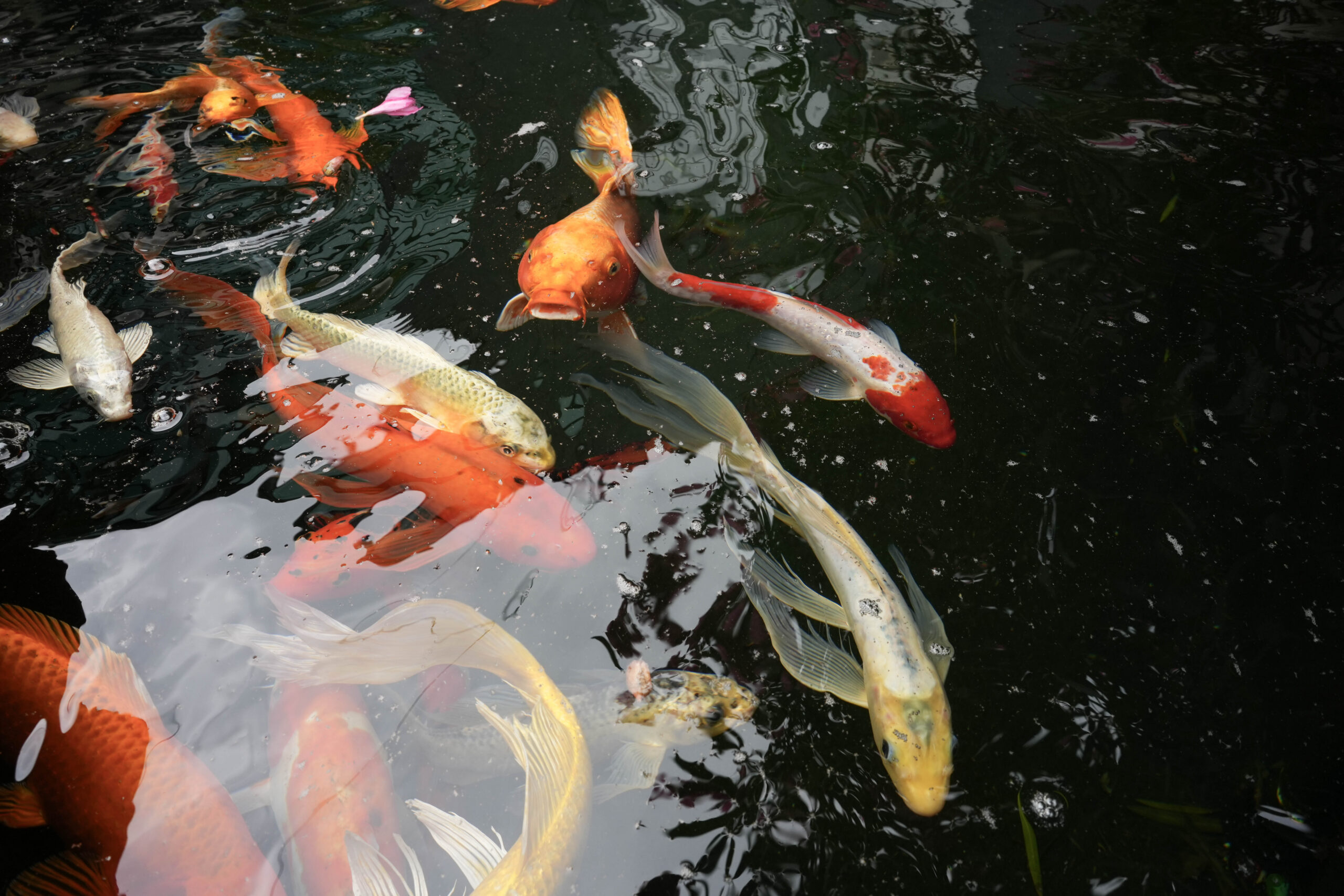 Photo 19 associated with Mission Harbor Behavioral Health — Los Angeles