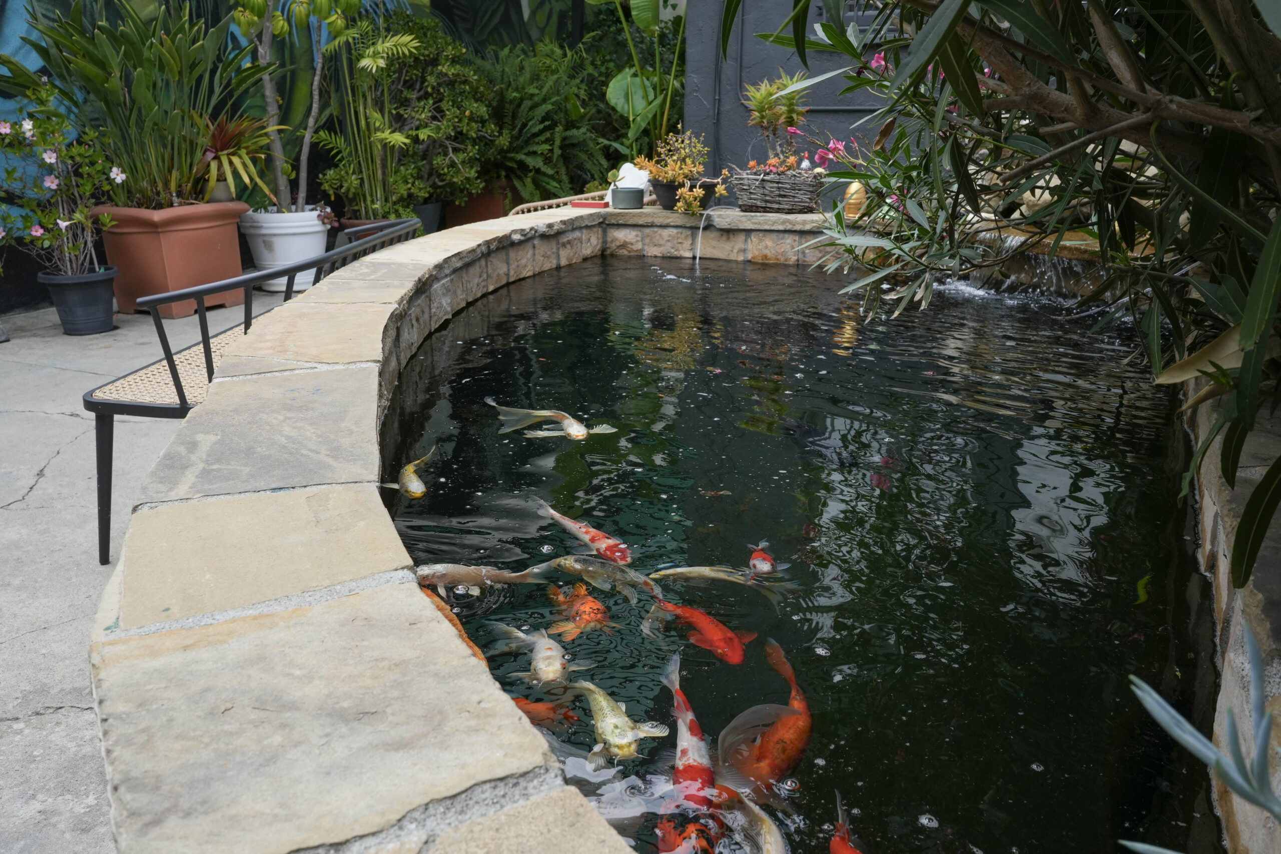 Photo 26 associated with Mission Harbor Behavioral Health — Los Angeles