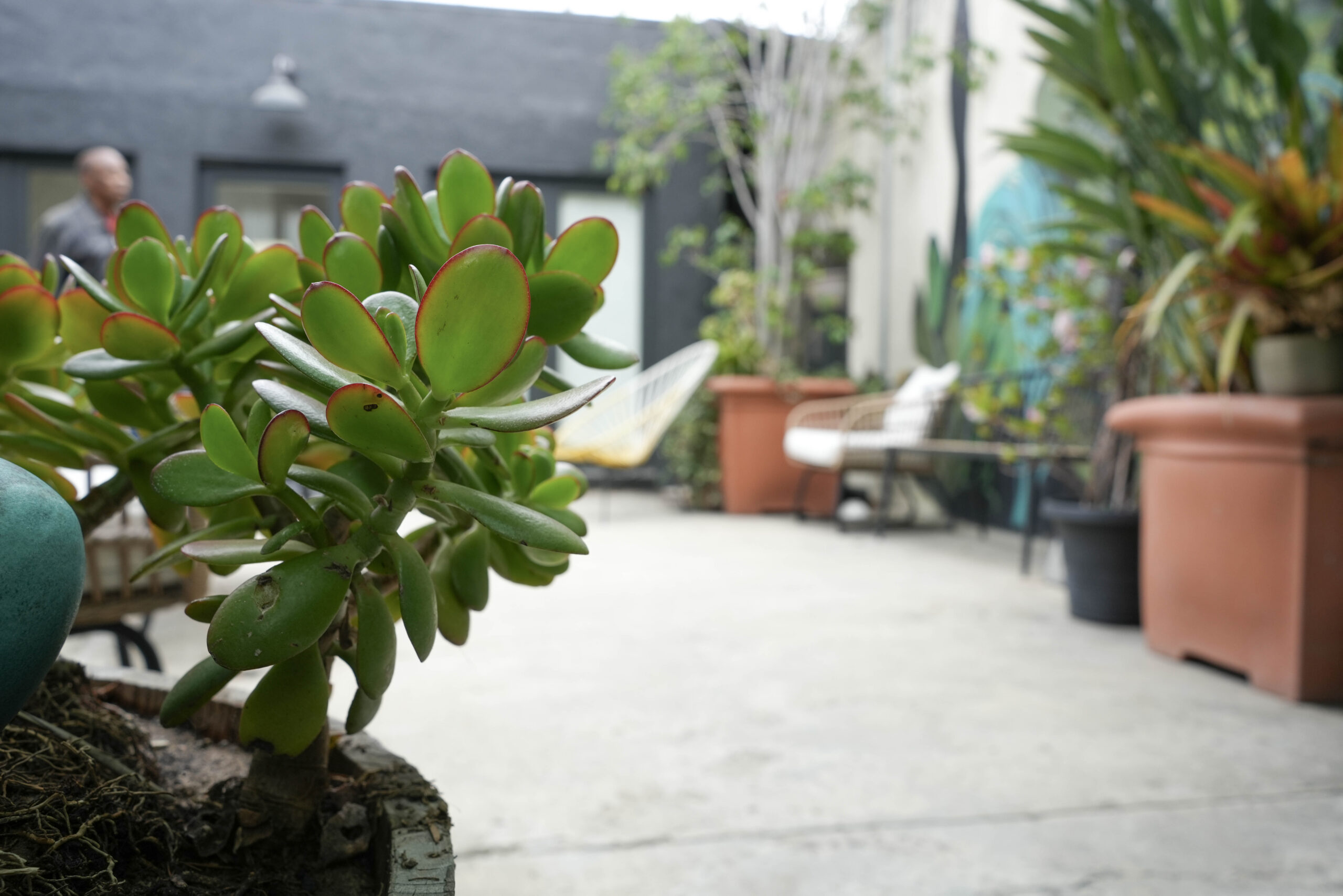 Photo 16 associated with Mission Harbor Behavioral Health — Los Angeles